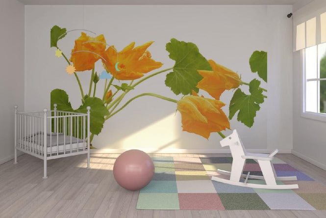 PHOTOWALL / Squash Flower (e19874)