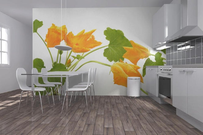 PHOTOWALL / Squash Flower (e19874)
