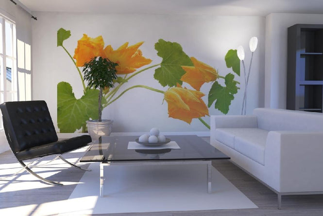 PHOTOWALL / Squash Flower (e19874)