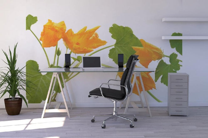 PHOTOWALL / Squash Flower (e19874)