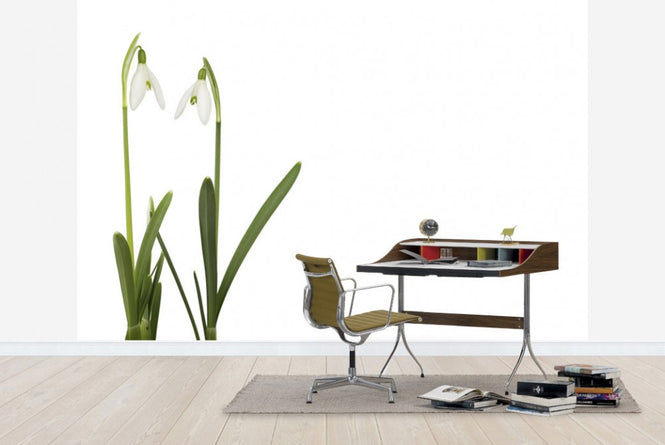 PHOTOWALL / Snow Drop (e19877)