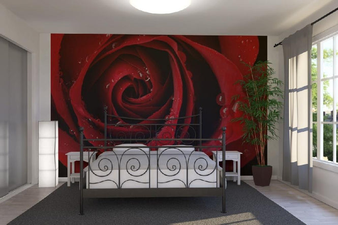 PHOTOWALL / Dark Red Rose (e19951)