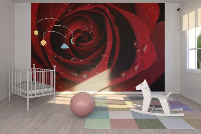 PHOTOWALL / Dark Red Rose (e19951)