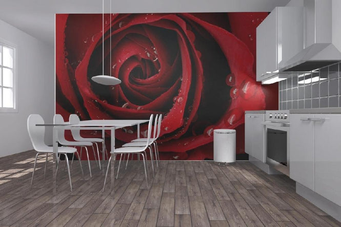 PHOTOWALL / Dark Red Rose (e19951)