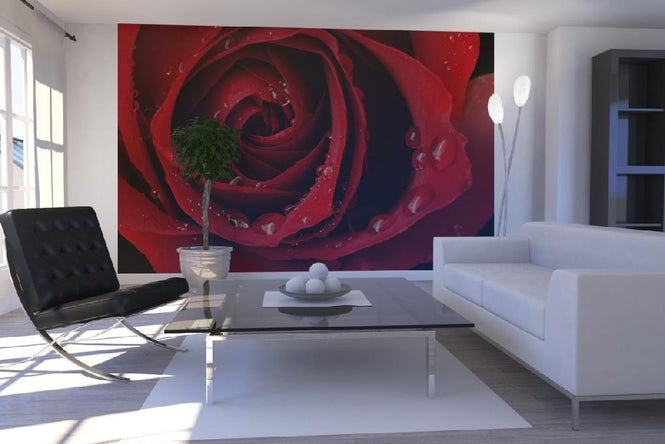 PHOTOWALL / Dark Red Rose (e19951)