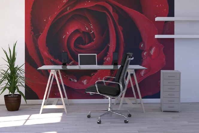 PHOTOWALL / Dark Red Rose (e19951)