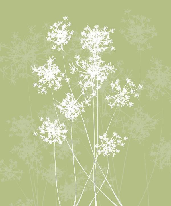 PHOTOWALL / Dandelions - Green (e20135)