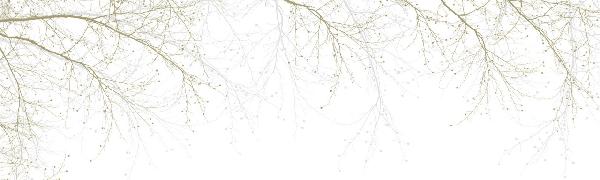 PHOTOWALL / Black Beech - Beige (e20233)