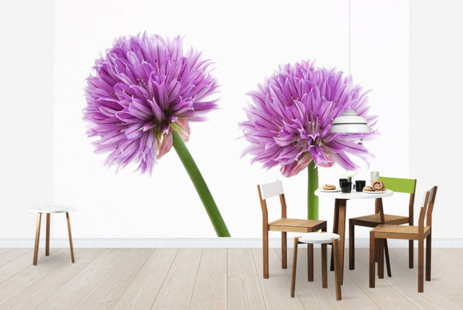 PHOTOWALL / Chive Flower (e20317)