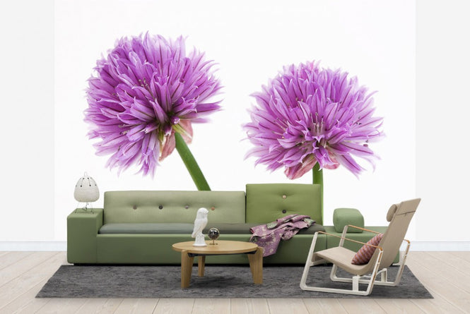 PHOTOWALL / Chive Flower (e20317)