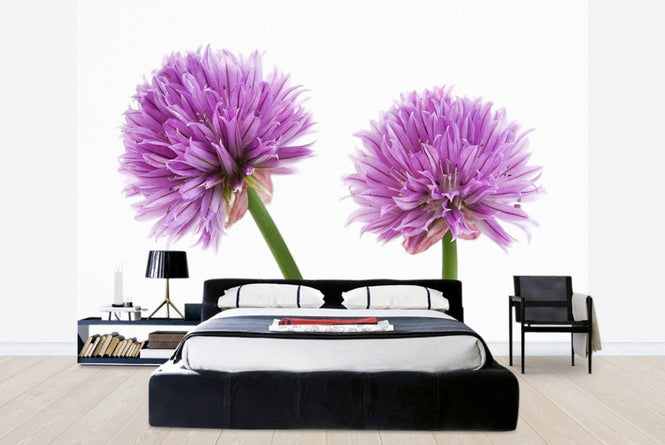 PHOTOWALL / Chive Flower (e20317)