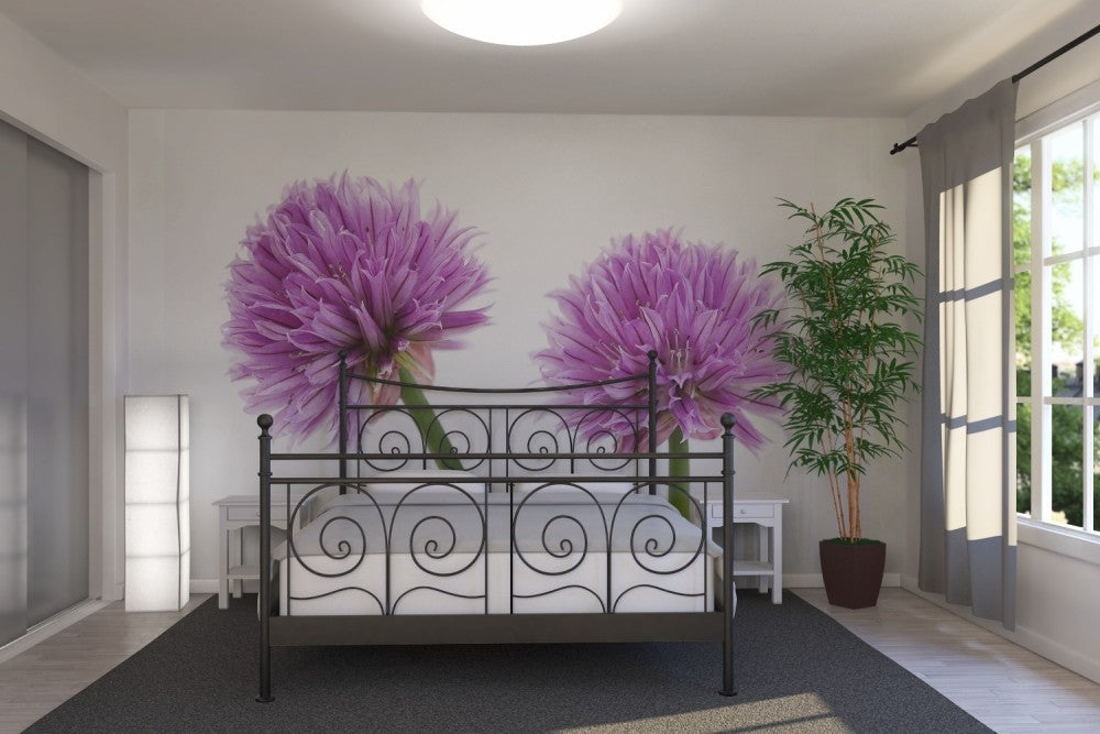 PHOTOWALL / Chive Flower (e20317) | 輸入壁紙専門店 WALPA – WALPA.jp