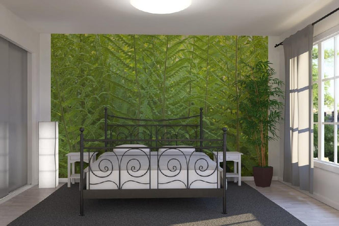 PHOTOWALL / Fern (e20319)