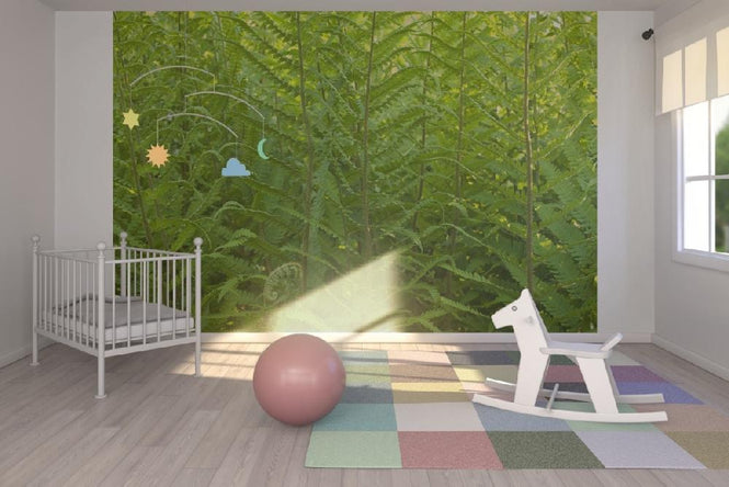 PHOTOWALL / Fern (e20319)