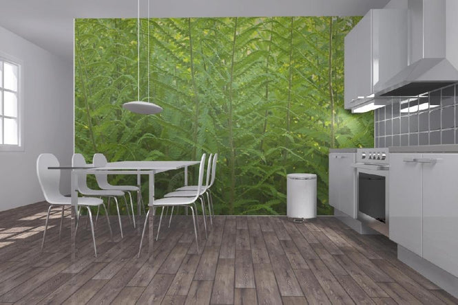 PHOTOWALL / Fern (e20319)