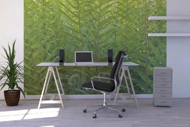 PHOTOWALL / Fern (e20319)