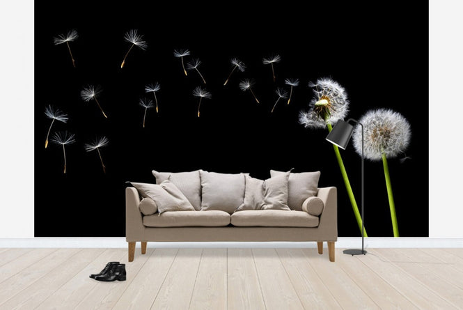 PHOTOWALL / Dandelion Seeds in the Wind (e20333)