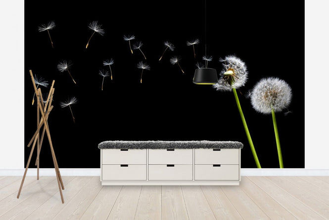 PHOTOWALL / Dandelion Seeds in the Wind (e20333)