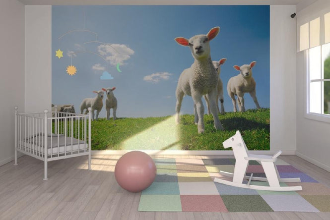 PHOTOWALL / Lamb (e20344)