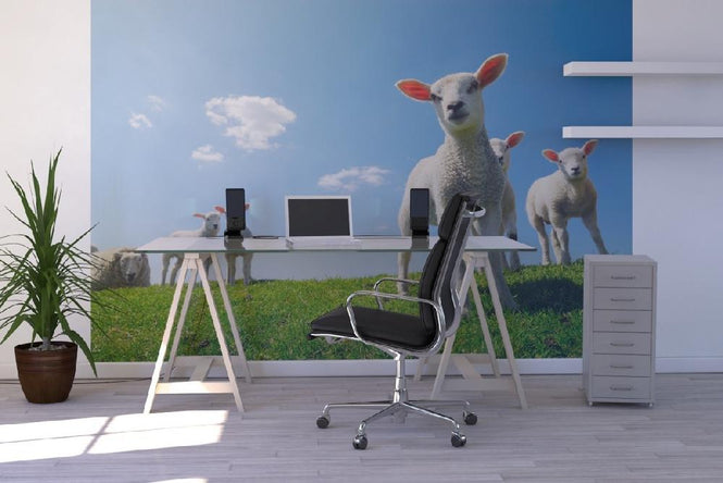 PHOTOWALL / Lamb (e20344)