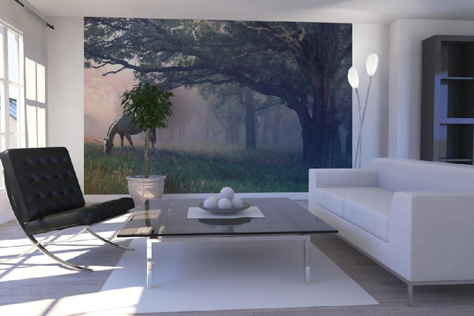 PHOTOWALL / Unicorn in the Forest (e20368)
