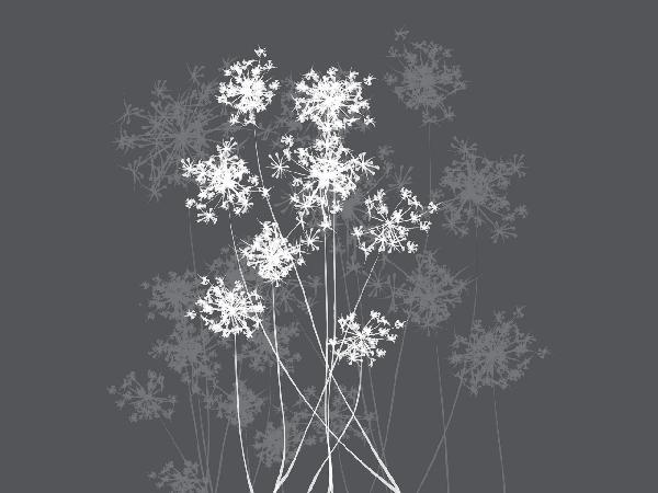 PHOTOWALL / Dandelion Grey (e20451)