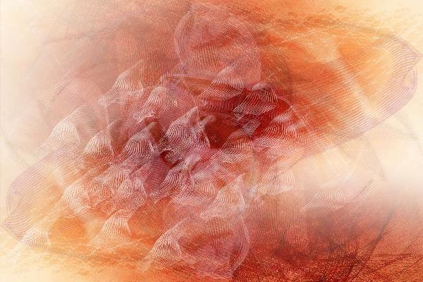 PHOTOWALL / Abstract Flowing Lines - Orange (e20476)