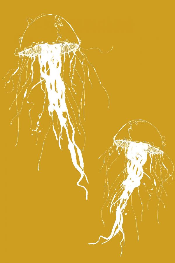 PHOTOWALL / Jellywho - Orange (e20711)