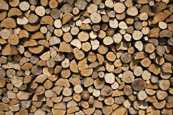 PHOTOWALL / Firewood (e20744)