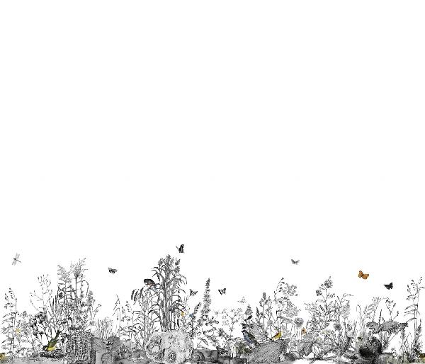 PHOTOWALL / Team Hawaii - Snail Trail (e20807)