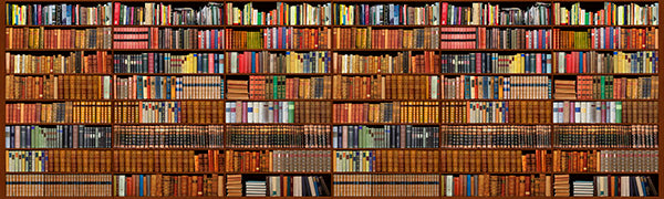 PHOTOWALL / Bookshelf (e20868)