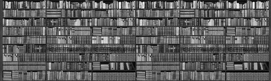 PHOTOWALL / Bookshelf (e20869)