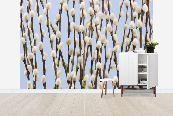 PHOTOWALL / Willow Buds (e20968)