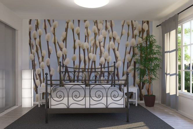 PHOTOWALL / Willow Buds (e20968)