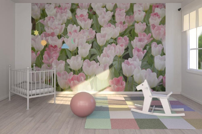 PHOTOWALL / Tulips (e20969)
