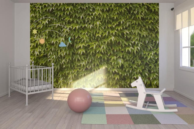 PHOTOWALL / Green Wall of Ivy Leaves (e20981)