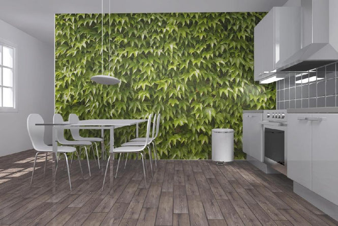 PHOTOWALL / Green Wall of Ivy Leaves (e20981)