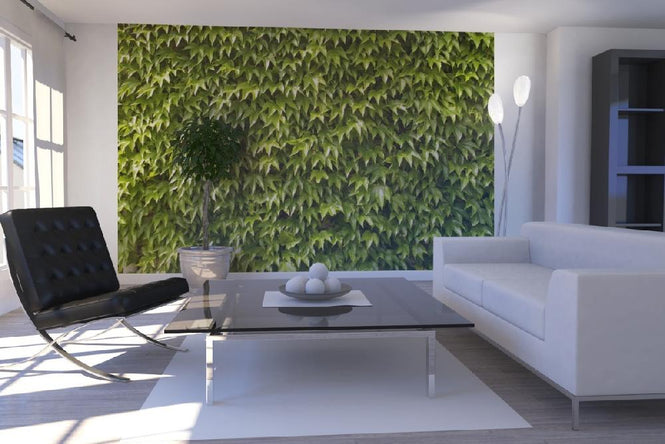 PHOTOWALL / Green Wall of Ivy Leaves (e20981)