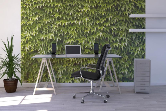PHOTOWALL / Green Wall of Ivy Leaves (e20981)