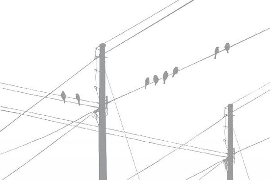 PHOTOWALL / Powerlines - Grey (e20984)