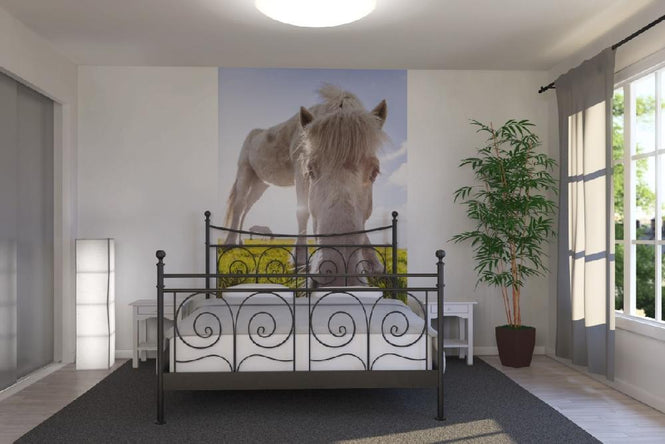 PHOTOWALL / White Horse (e21020)