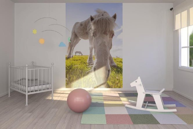 PHOTOWALL / White Horse (e21020)