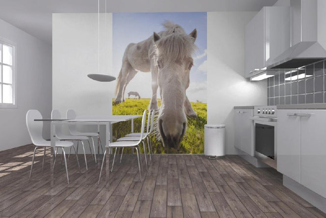 PHOTOWALL / White Horse (e21020)