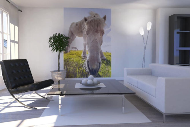 PHOTOWALL / White Horse (e21020)