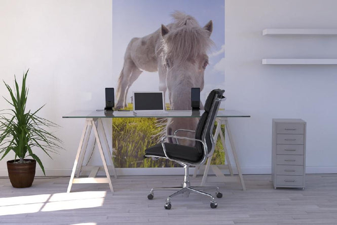PHOTOWALL / White Horse (e21020)