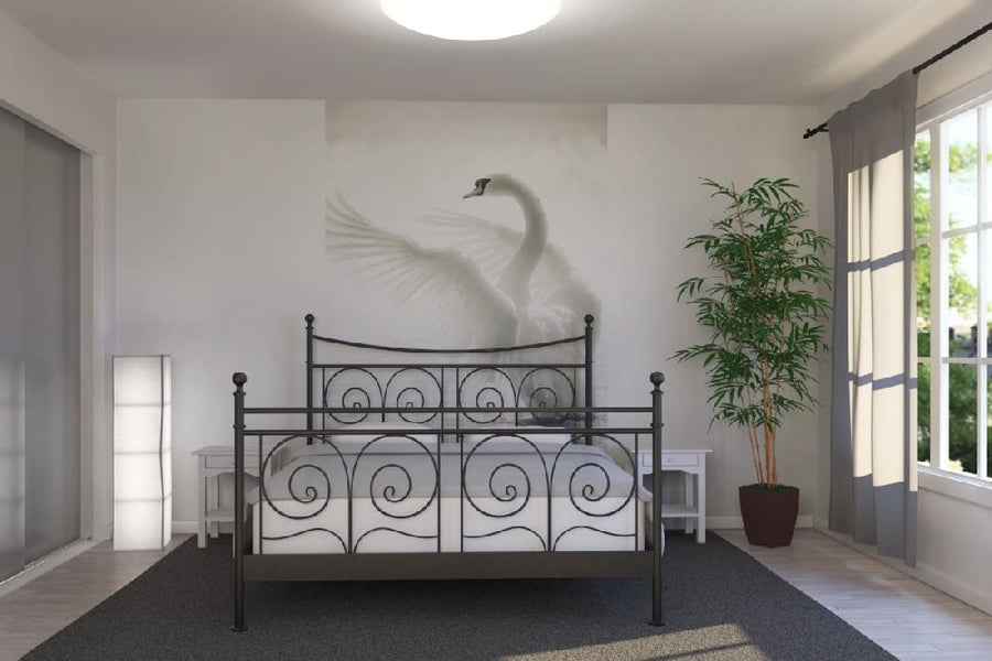 PHOTOWALL / Graceful Swan (e21139)