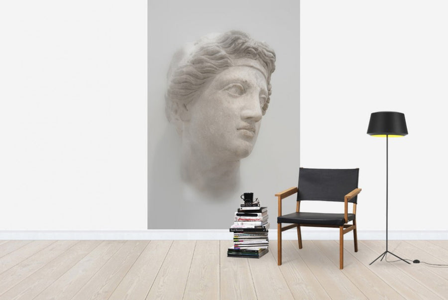 PHOTOWALL / Greek Female Bust (e21140)