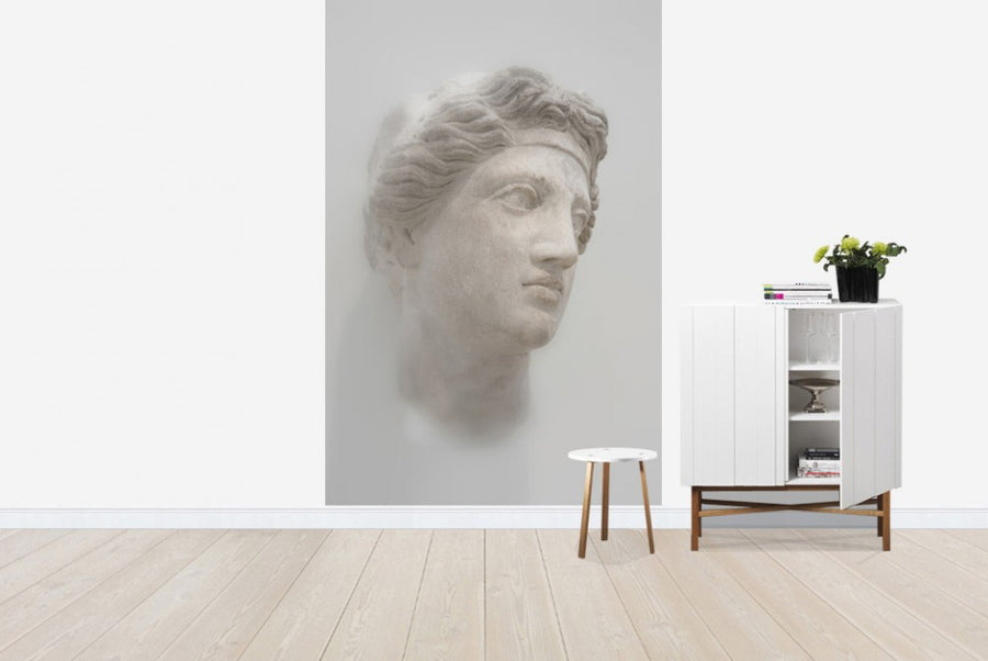PHOTOWALL / Greek Female Bust (e21140)