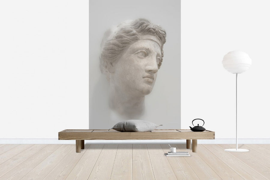 PHOTOWALL / Greek Female Bust (e21140)