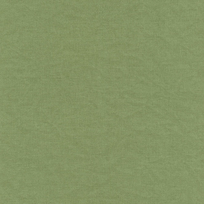 rasch ラッシュ / 464092 (Equateur)